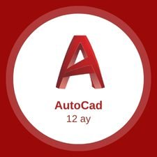autocad 12 aylıq